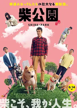 国产精品久线观看视频